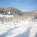 Le Vigne