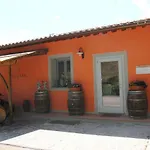 Le Vigne