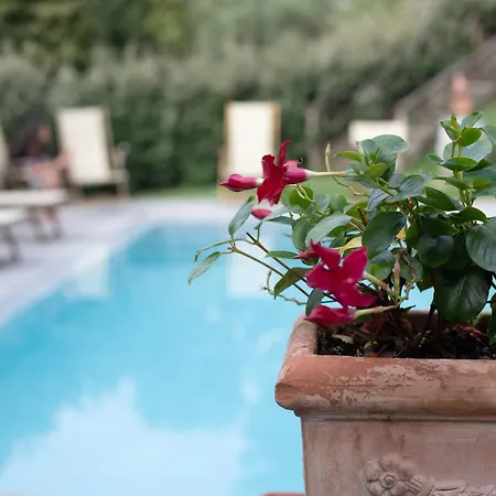 Farm stay Le Vigne *