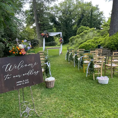 Le Vigne *