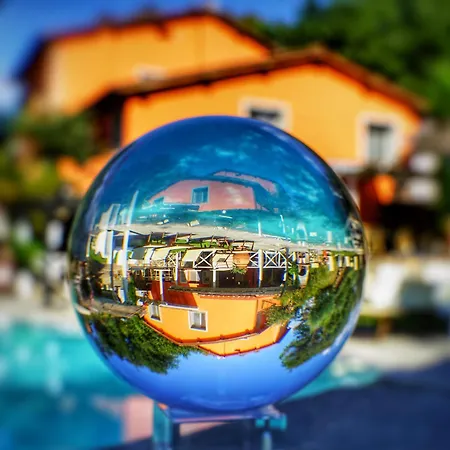 Farm stay Le Vigne Montevarchi