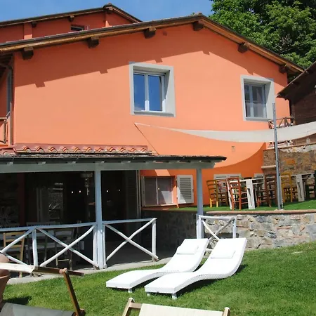 Le Vigne * Montevarchi